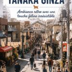 Vue de la rue principale de Yanaka Ginza, avec ses boutiques vintage et ambiance chaleureuse